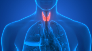 Signs and Symptoms of Laryngeal and Hypopharyngeal Cancers